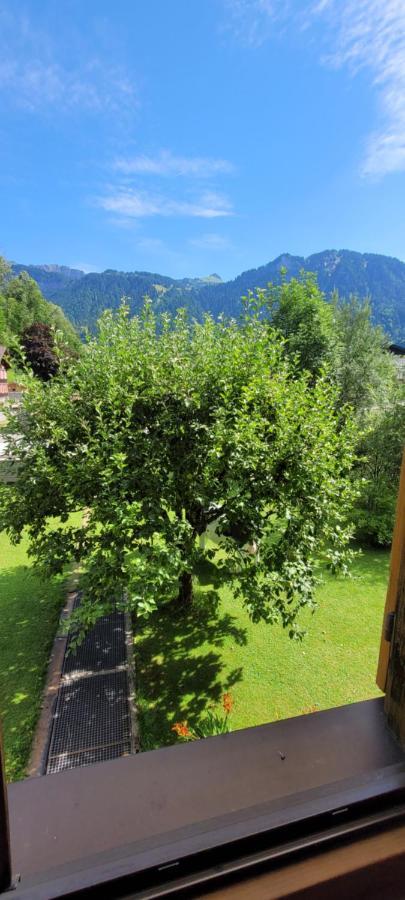 Haus Helena Appartement *